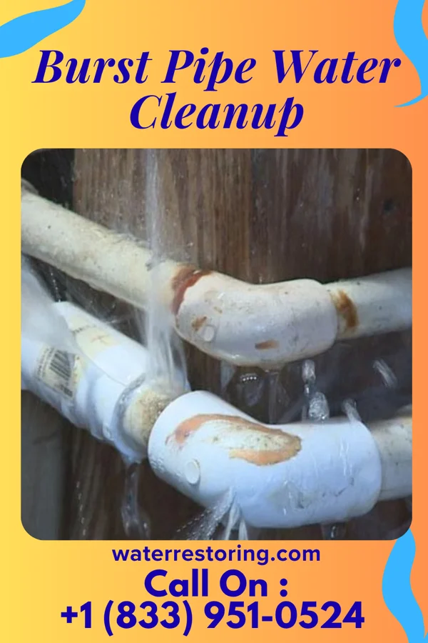 Burst Pipe Water Cleanup in Colerain, NC