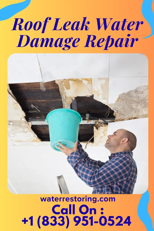 Roof Leak Water Damage Repair in Colerain, NC