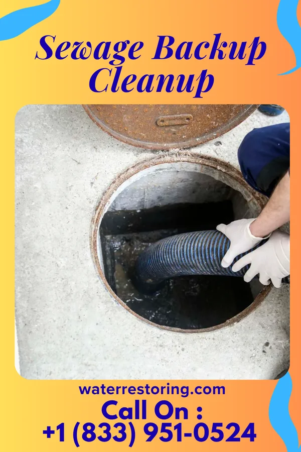 Sewage Backup Cleanup in Colerain, NC