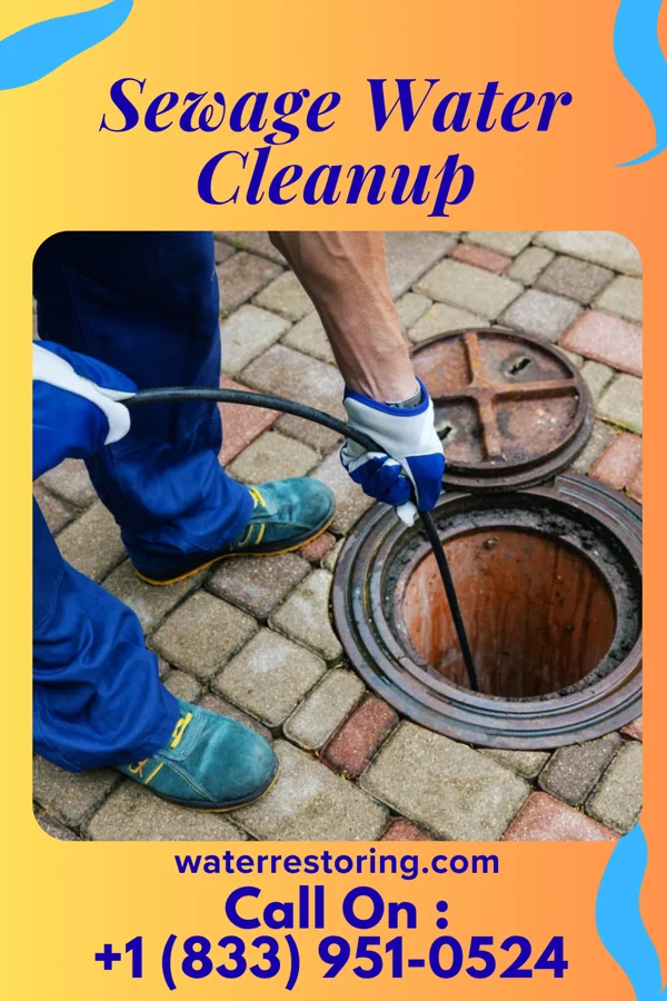 Sewage Water Cleanup in Colerain, NC
